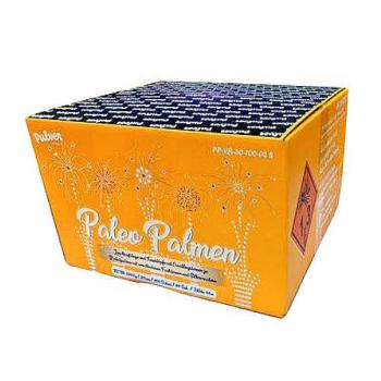 139 - Paleo-Palmen